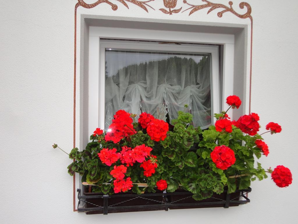 Garni Crepaz Bed and Breakfast Σέλβα ντι Βαλ Γκαρντένα Εξωτερικό φωτογραφία